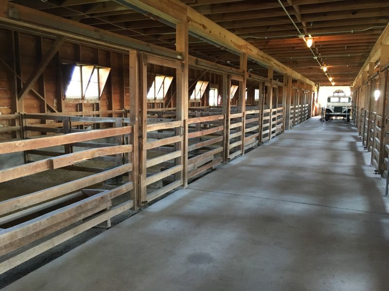 Crawlspace Construction in Greenville, SC